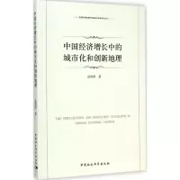 音像中国经济增长中的城市化和创新地理岳清唐 著