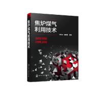 音像焦炉煤气利用技术杨跃平,阎承信