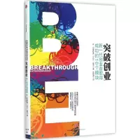 音像突破创业[美]乔·伯格斯通,小比尔·墨菲