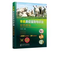 音像羊病类症鉴别与诊治彩色图谱(精)马玉忠