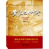 音像黄泥巴小街李光飞