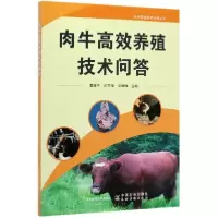 音像肉牛高效养殖技术问答/实用养殖技术系列丛书