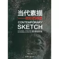 音像当代素描:微妙的颠覆李海峰