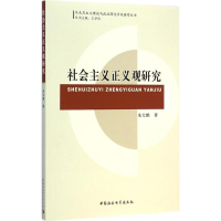 音像社会主义正义观研究朱大鹏 著