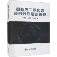 音像超临界二氧化碳喷致裂增渗机理宋维强,倪红坚,张俊明