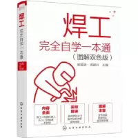 音像焊工完全自学一本通(图解双色版)张能武,周斌兴