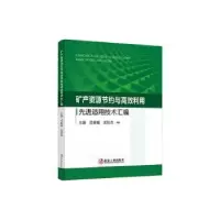 音像矿产资源节约与高效利用适用技术汇编吕振福 武秋杰
