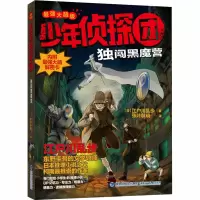 音像独闯黑魔营(日)江户川乱步