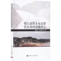 音像特大流域水电站群优化调度降维理论冯仲恺,牛文静