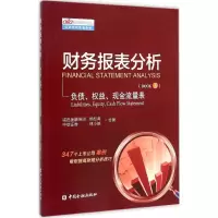 音像财务报表分析松,林小驰 著