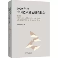 音像2020年度中国艺术发展研究报告中国艺术研究院