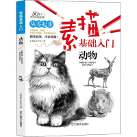 音像素描基础入门 动物七彩绘工作室