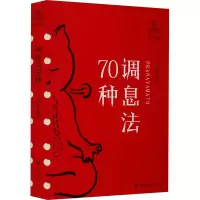音像调息法70种王志成 编著