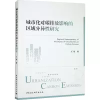 音像城市化对碳排放影响的区域分异研究王星