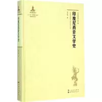 音像印度尼西亚文学史梁立基 著