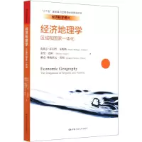 音像经济地理学(区域和一化)/经济科学译丛