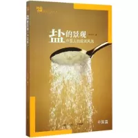 音像盐的景观朱千华 著