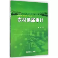 音像农村换届审计谭湘