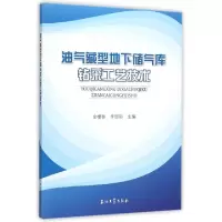 音像油气藏型地下储气库钻采工艺技术金根泰,李国韬主编