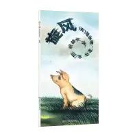 音像旋风(丹)碧琳德·宝森