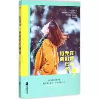 音像在爱中,我们已然相遇陈公子 著