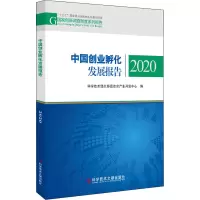 音像中国创业孵化发展报告 2020作者