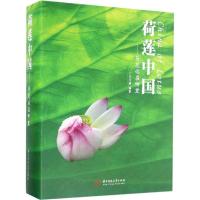 音像荷莲中国:荷花你在哪里王力建编著