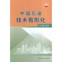 音像中国石油技术有形化申广浩,王长军,孙志辉 主编