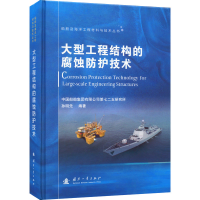 音像大型工程结构的腐蚀防护技术孙明先