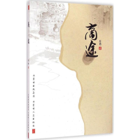 音像商途肖勇 著