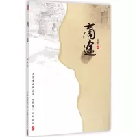 音像商途肖勇 著