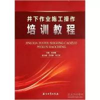音像井下作业施工操作培训教程辛舒臻主编