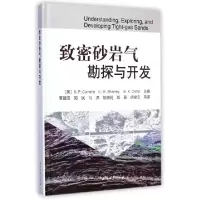 音像致密砂岩气勘探与开发(美)库迈拉 等编,李建忠 等译