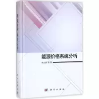 音像能源价格系统分析田立新等著