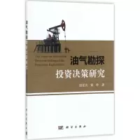 音像油气勘探决策研究殷爱贞,黄朴著