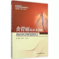 音像食管癌临床多学科综合诊断与鉴别诊断毛伟敏,于金明 主编