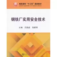 音像钢铁厂实用安全技术吕国成,包丽明
