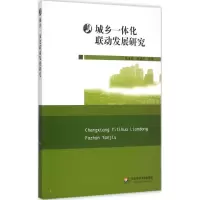 音像城乡一体化联动发展研究张永岳 等 著