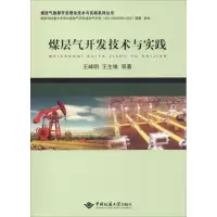 音像煤层气开发技术与实践王峰明,王生维等著