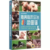 音像猪病临床诊治彩色图谱谷风柱,马玉华,王志远 主编