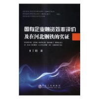 音像国有企业融资效率评价及在河北钢铁的实丁超著