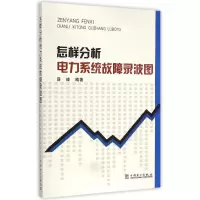 音像怎样分析电力系统故障录波图薛峰 编著