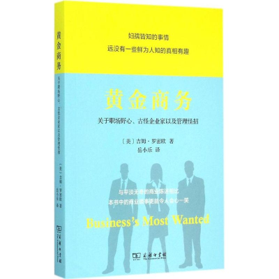 音像黄金商务(美)吉姆·罗密欧(Jim Romeo) 著;岳小乐 译