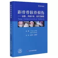 音像距骨骨软骨损伤--诊断术前计划治疗及康复(精)