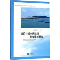 音像波浪与透水防波堤相互作用研究王登婷等编著