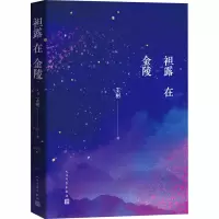 音像袒露在金陵王彬