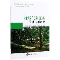 音像橡胶气象服务关键技术研究刘少军