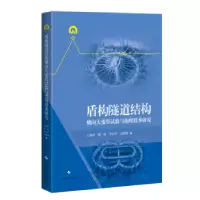 音像盾构隧道结构横向大变形试验与治理技术研究王如路