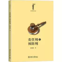 音像责任刑与预防刑张明楷