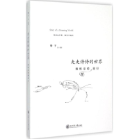 音像走走停停的世界格子 著